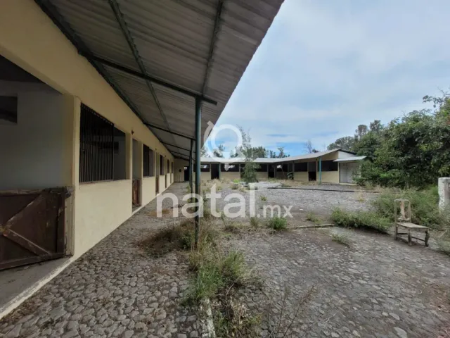 place photo 9