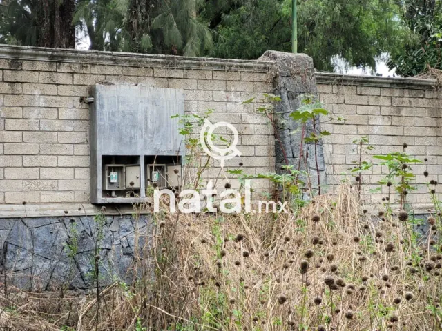 place photo 27
