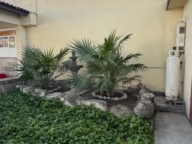 place photo 26