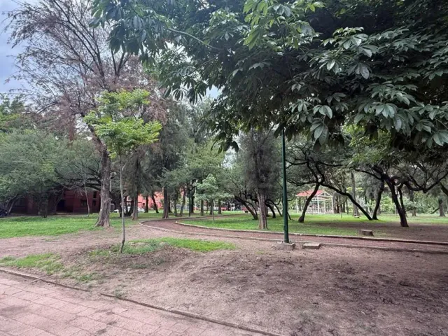 place photo 15