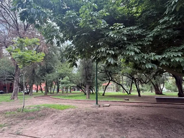 place photo 13