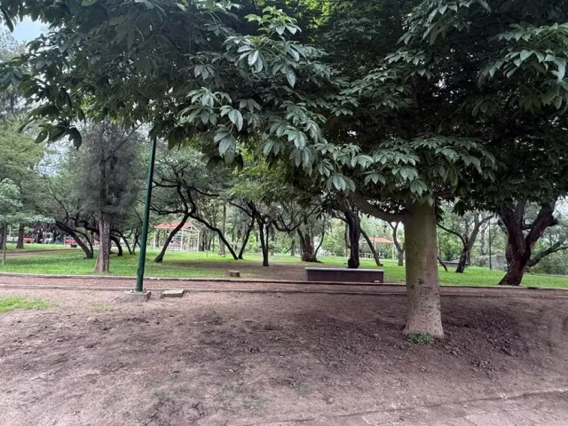 place photo 14