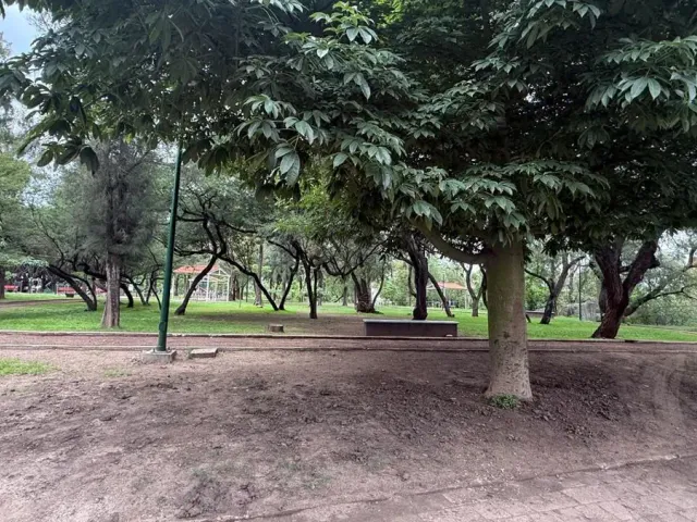 place photo 16