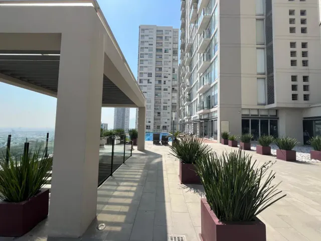place photo 36