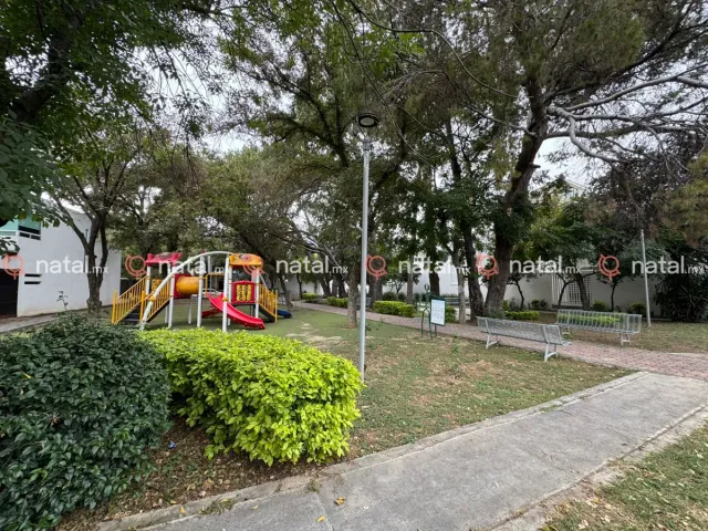 place photo 49