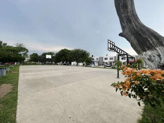 place photo 23