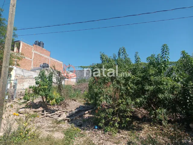 place photo 2