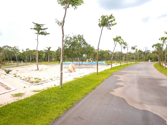 place photo 18