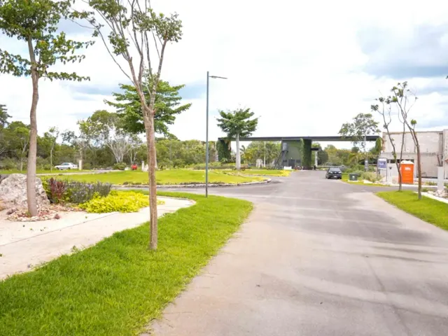 place photo 19