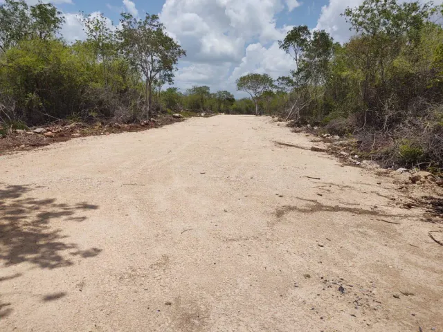 place photo 5