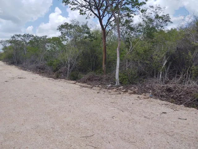 place photo 6
