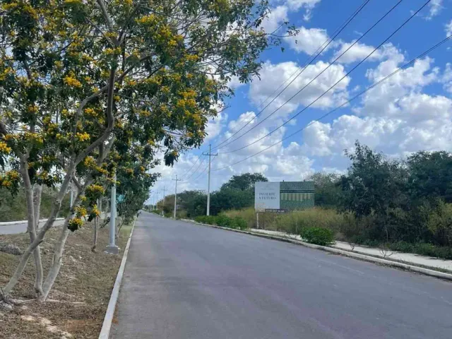 place photo 11