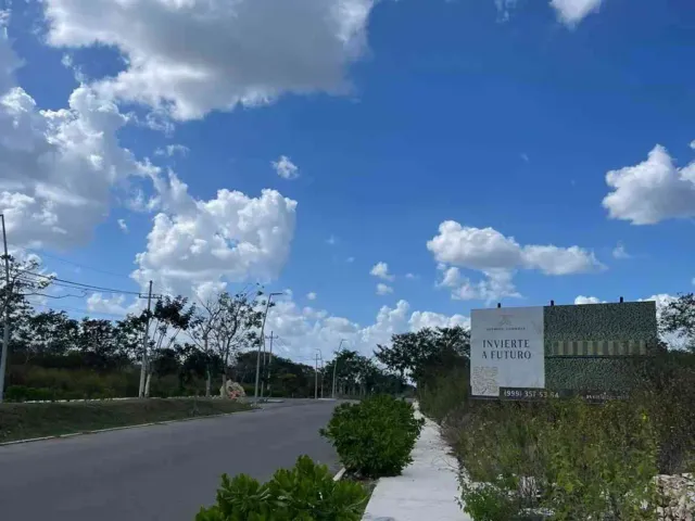 place photo 12