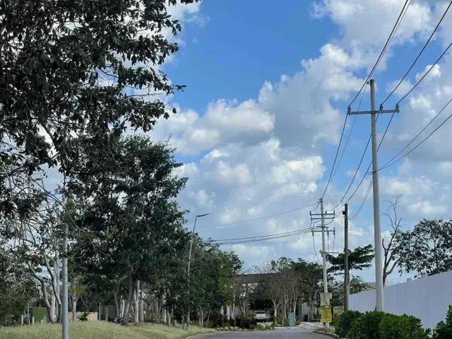 place photo 10