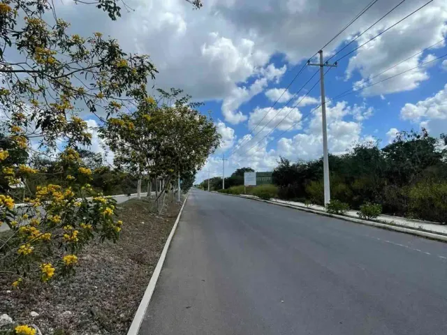 place photo 4
