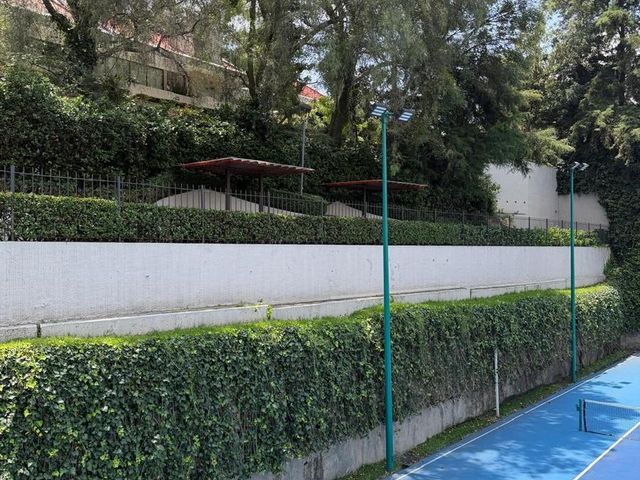 place photo 45
