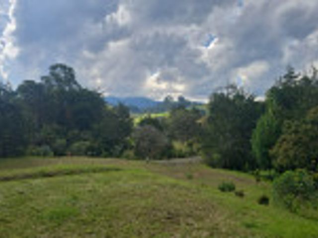 place photo 30
