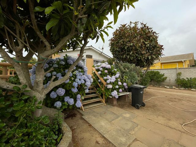 place photo 38
