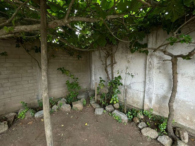 place photo 41