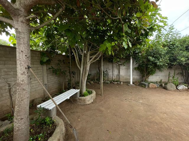 place photo 43