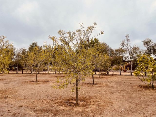 place photo 48