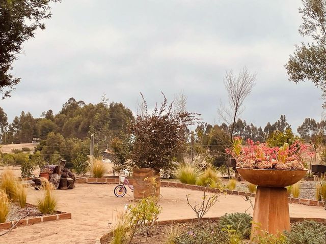 place photo 39