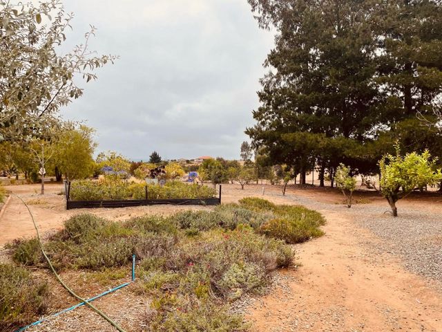 place photo 47