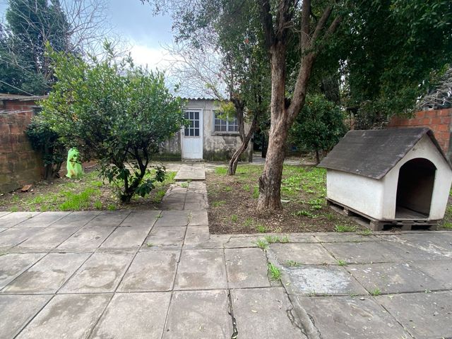 place photo 21