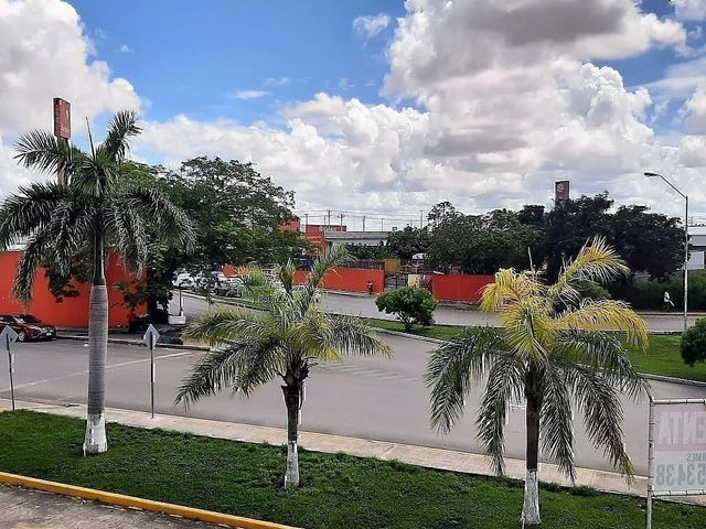 place photo 14