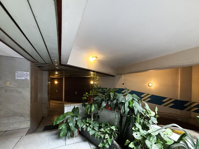 place photo 46