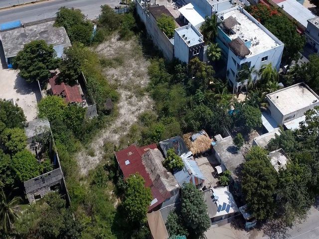 place photo 17