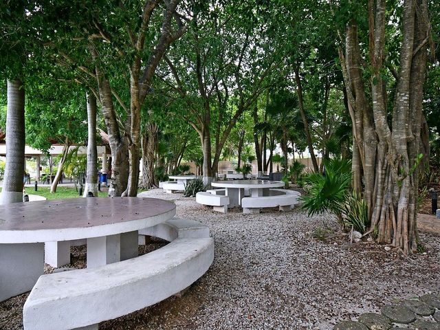 place photo 23