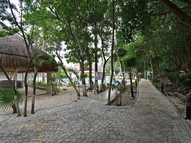 place photo 24