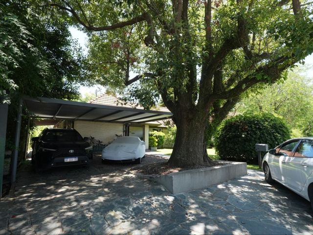 place photo 42