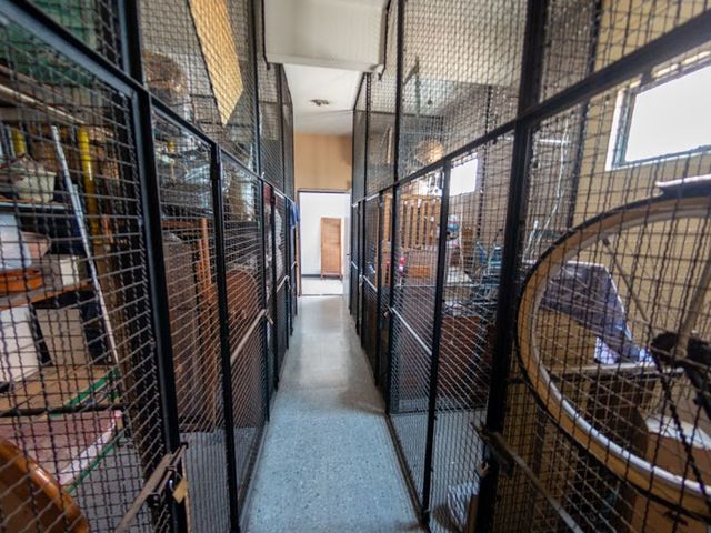 place photo 44