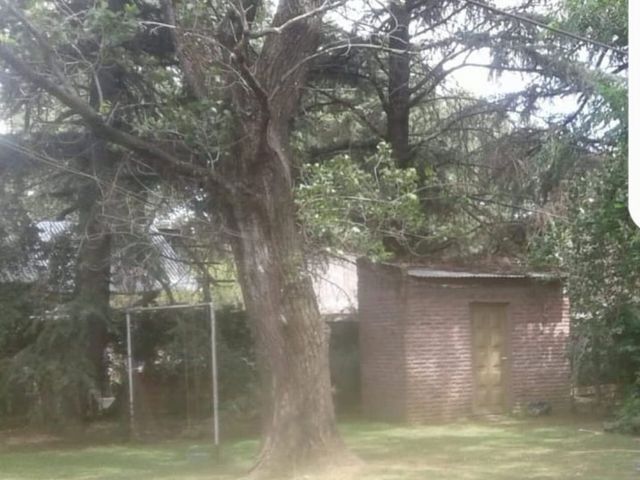 place photo 17