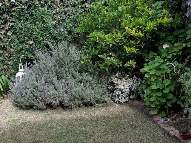 place photo 49