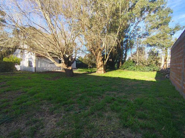 place photo 30