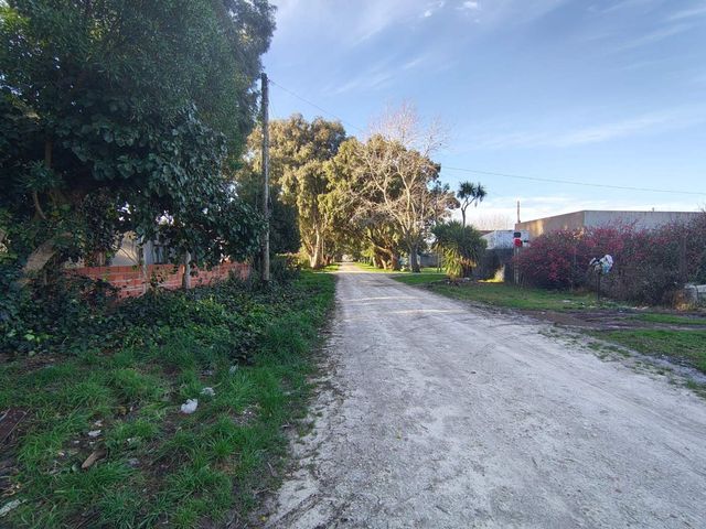 place photo 28