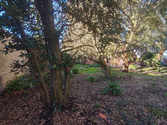 place photo 44