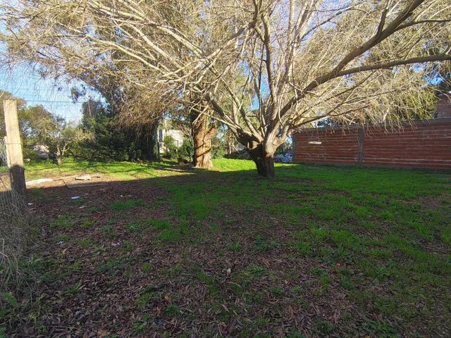 place photo 31