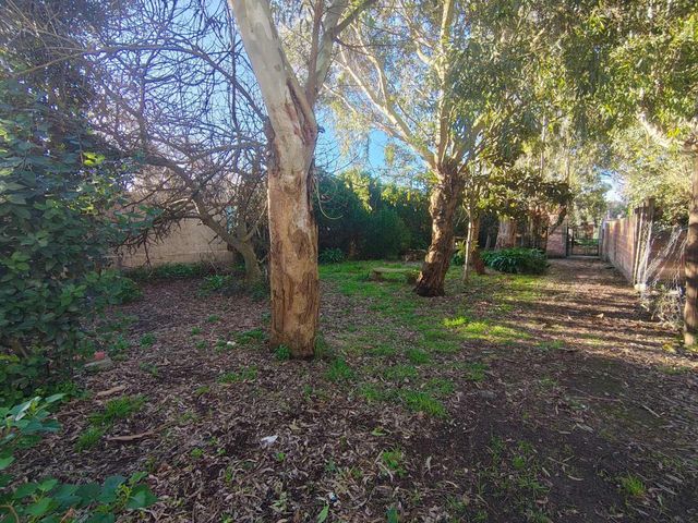 place photo 45