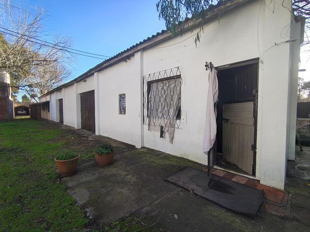 place photo 41