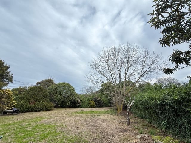 place photo 33