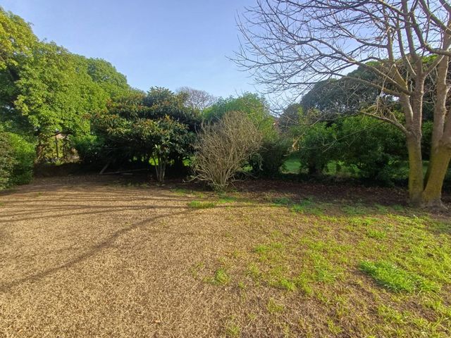 place photo 32