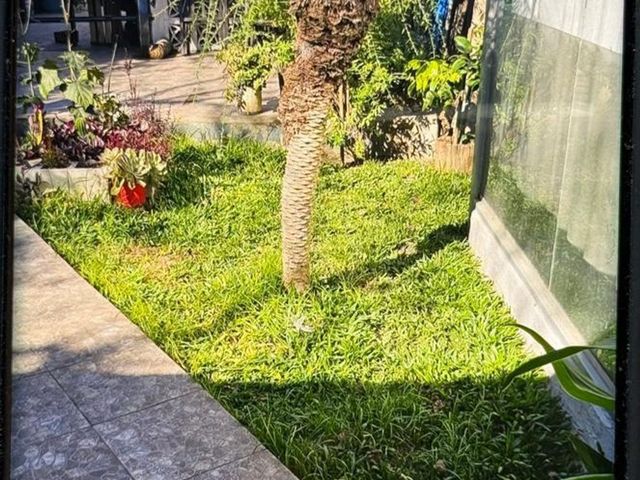 place photo 27