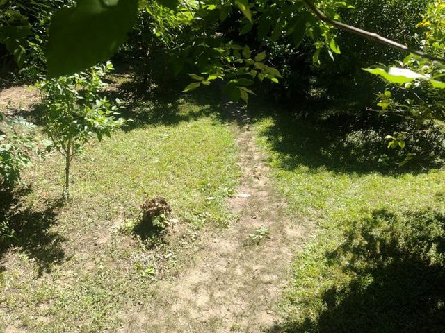 place photo 31