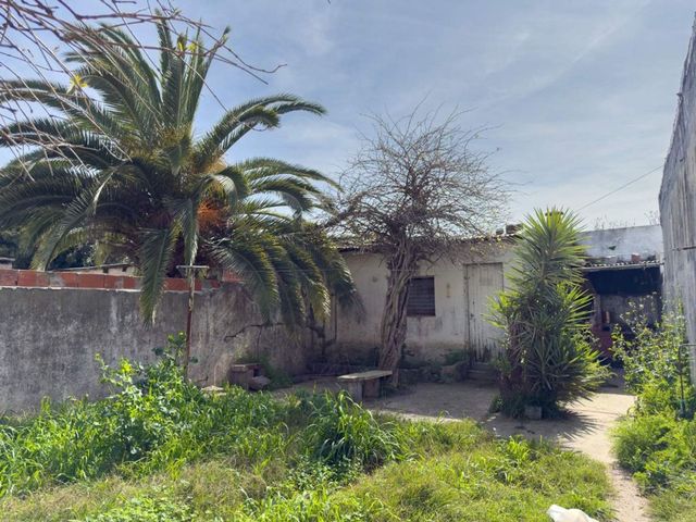 place photo 18