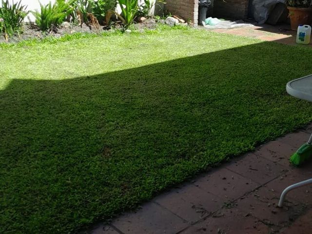 place photo 29