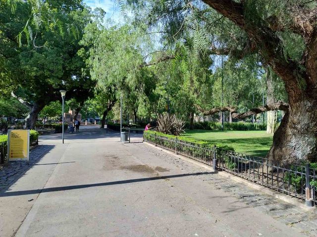 place photo 11